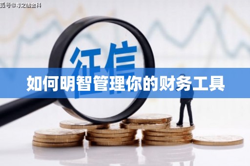 珙县如何明智管理你的财务工具