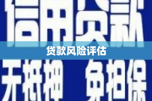 珙县贷款风险评估