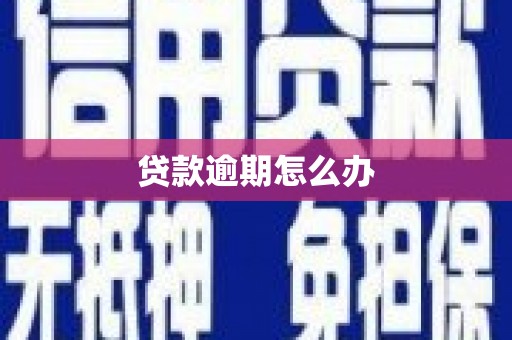 珙县贷款逾期怎么办