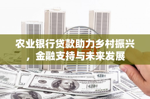 珙县农业银行贷款助力乡村振兴，金融支持与未来发展