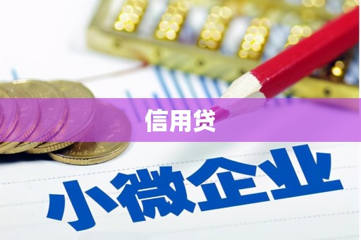 珙县信用贷
