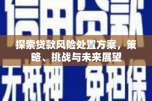 珙县探索贷款风险处置方案，策略、挑战与未来展望