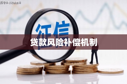 珙县贷款风险补偿机制