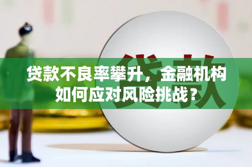 珙县贷款不良率攀升，金融机构如何应对风险挑战？