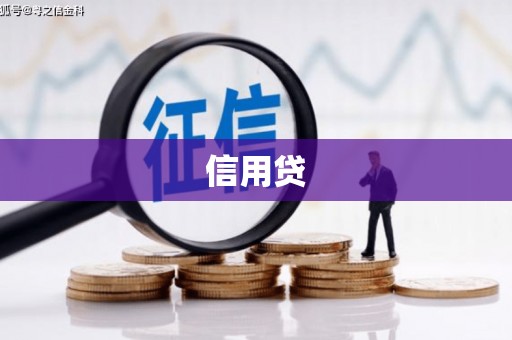 珙县信用贷