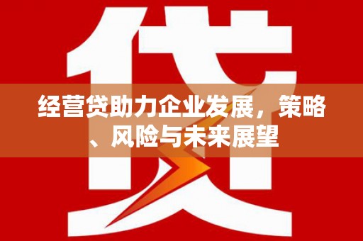 珙县经营贷助力企业发展，策略、风险与未来展望