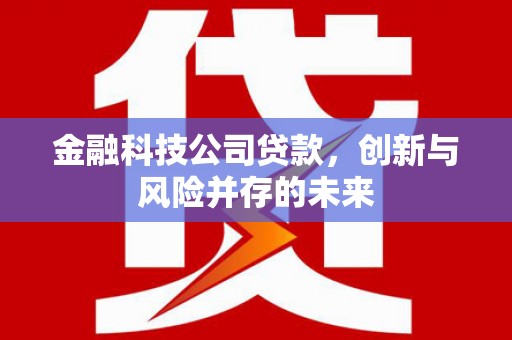 珙县金融科技公司贷款，创新与风险并存的未来