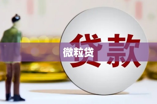 珙县微粒贷