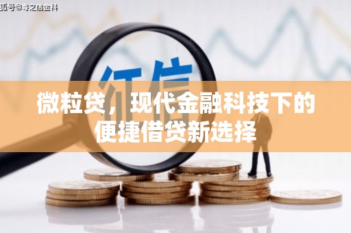 珙县微粒贷，现代金融科技下的便捷借贷新选择