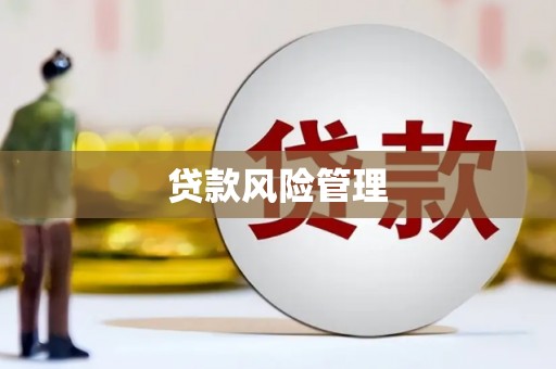 珙县贷款风险管理