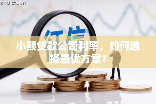 珙县小额贷款公司利率，如何选择最优方案？