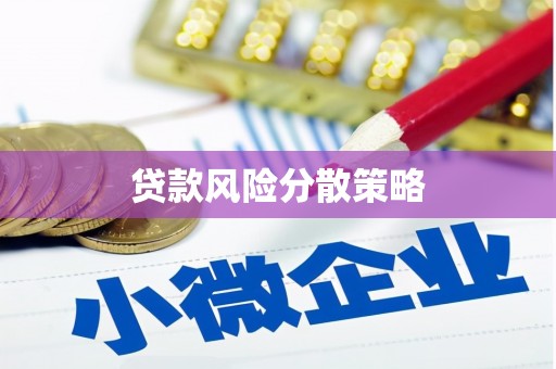 珙县贷款风险分散策略