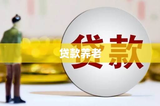 珙县贷款养老