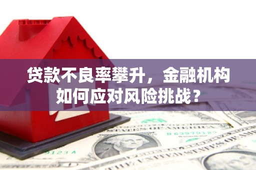 珙县贷款不良率攀升，金融机构如何应对风险挑战？