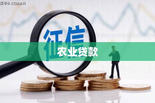 珙县农业贷款