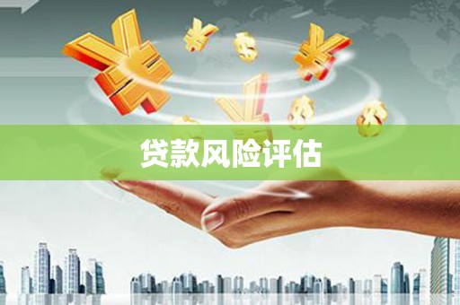 珙县贷款风险评估