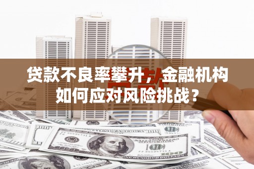 珙县贷款不良率攀升，金融机构如何应对风险挑战？