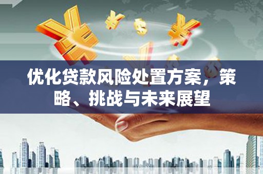 珙县优化贷款风险处置方案，策略、挑战与未来展望
