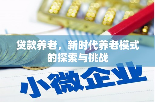 珙县贷款养老，新时代养老模式的探索与挑战