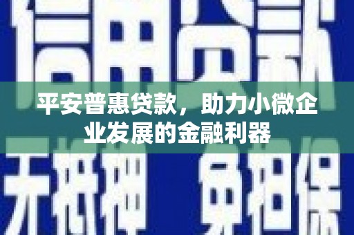 珙县平安普惠贷款，助力小微企业发展的金融利器