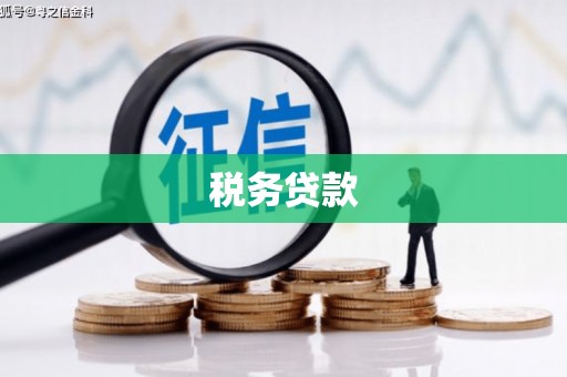 珙县税务贷款