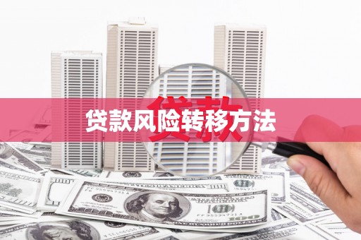 珙县贷款风险转移方法