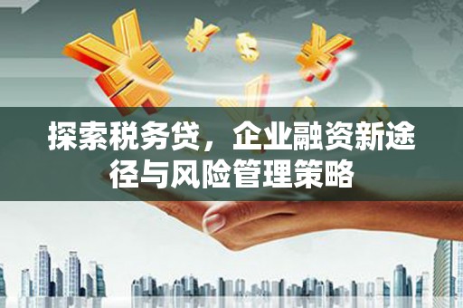 珙县探索税务贷，企业融资新途径与风险管理策略