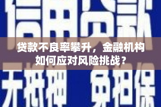 珙县贷款不良率攀升，金融机构如何应对风险挑战？