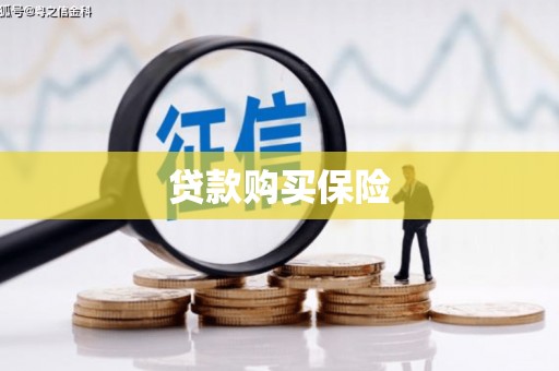 珙县贷款购买保险