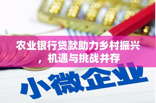 珙县农业银行贷款助力乡村振兴，机遇与挑战并存