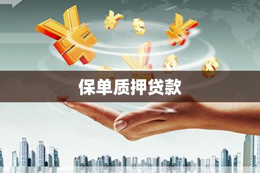 珙县保单质押贷款