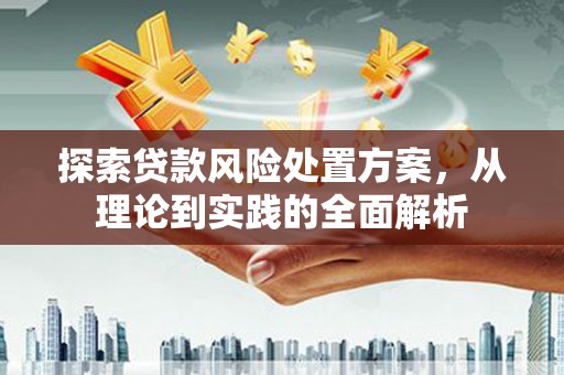 珙县探索贷款风险处置方案，从理论到实践的全面解析