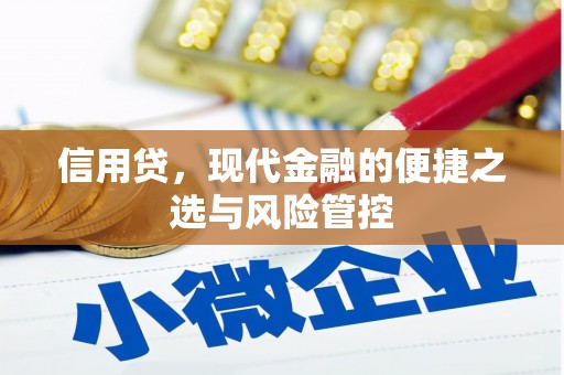 珙县信用贷，现代金融的便捷之选与风险管控