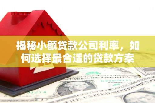 珙县揭秘小额贷款公司利率，如何选择最合适的贷款方案