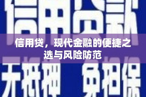 珙县信用贷，现代金融的便捷之选与风险防范
