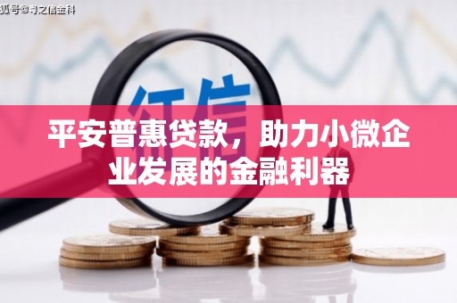 珙县平安普惠贷款，助力小微企业发展的金融利器