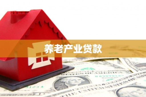 珙县养老产业贷款