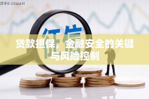 珙县贷款担保，金融安全的关键与风险控制