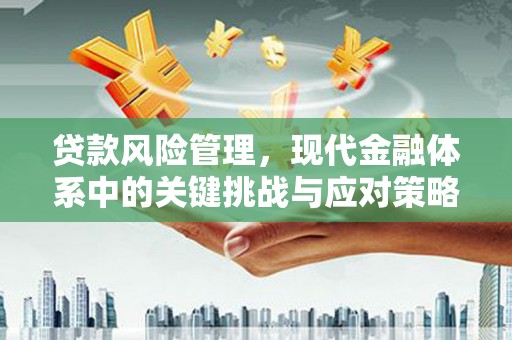 珙县贷款风险管理，现代金融体系中的关键挑战与应对策略