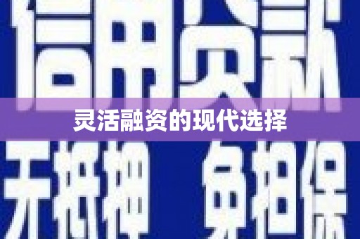 珙县灵活融资的现代选择