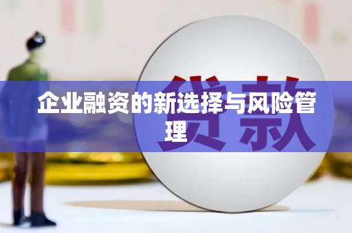 珙县企业融资的新选择与风险管理