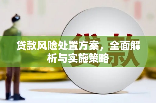 珙县贷款风险处置方案，全面解析与实施策略
